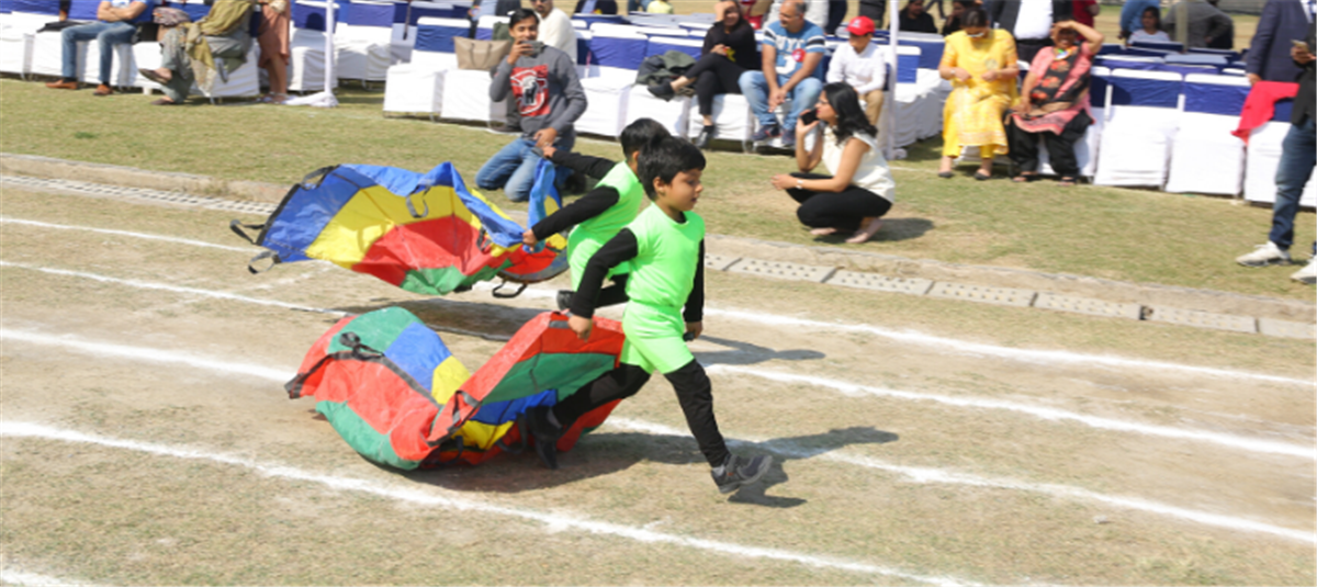 Primary School Sports Education: